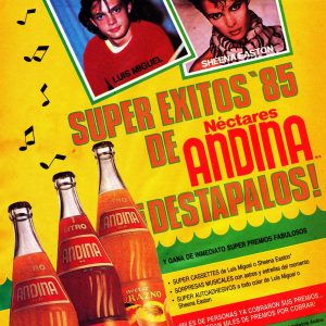 Super Éxitos Néctar Andina (1985)